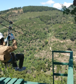 Filadelfia Canopy Tour