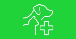 Hospitales Veterinarios