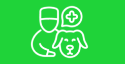 Veterinarios